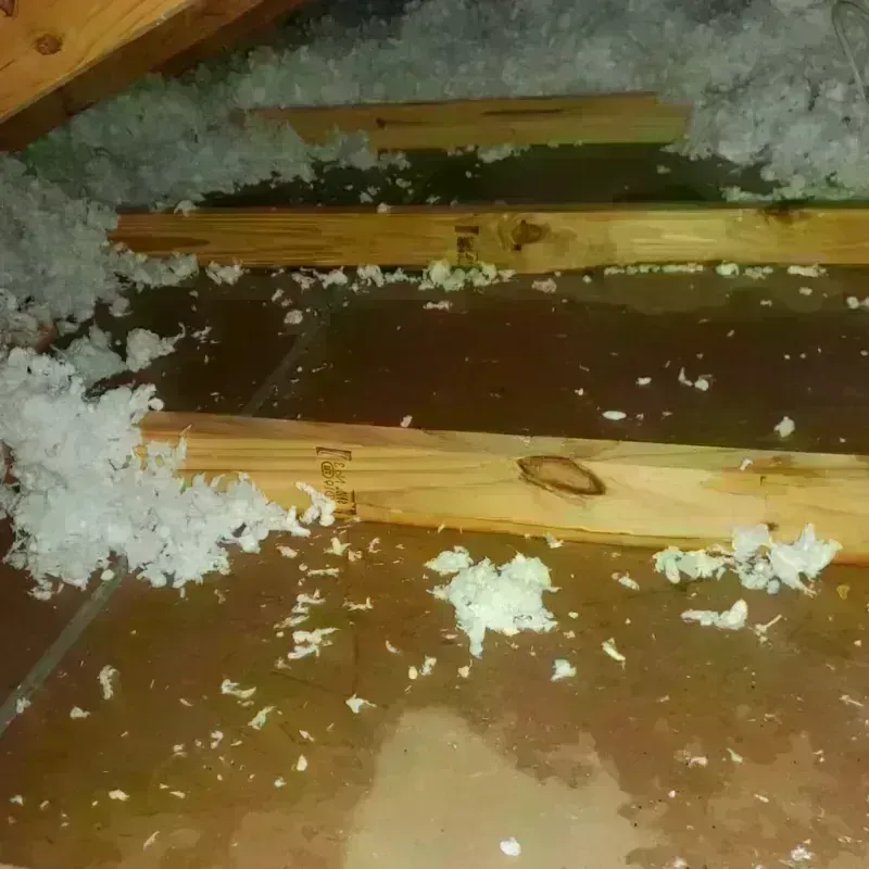 Attic Water Damage in Randolph, MA